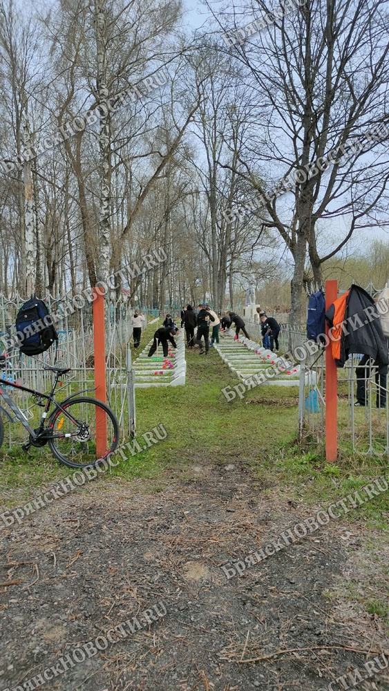 Суд дал полгода властям на установку контейнеров у кладбищ Новозыбкова