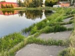 Заросли на городском озере в Новозыбкове обещают скосить к 1 июля