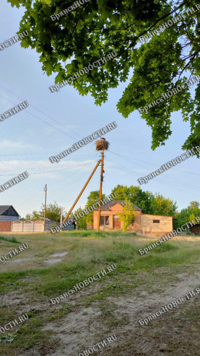 В Новозыбковском округе новая волна перебоев с электричеством