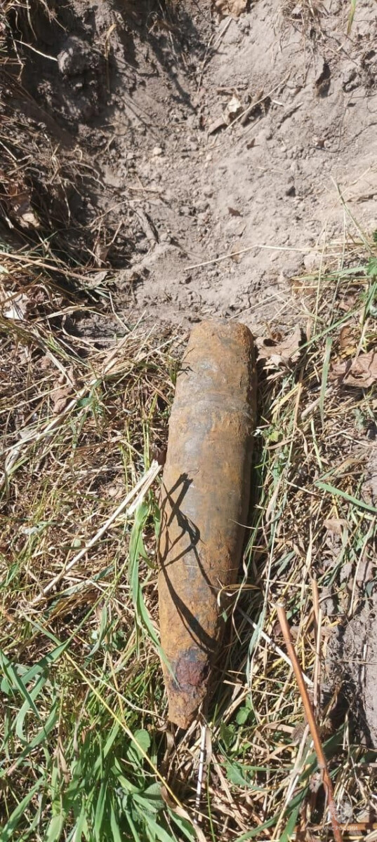 В лесу под Новозыбковом обнаружили и уничтожили артиллерийский снаряд