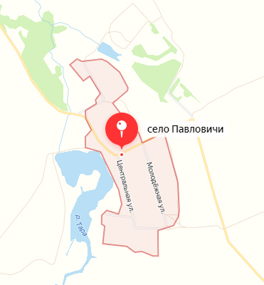 Село Павловичи Брянской области сегодня обстреляли ВСУ
