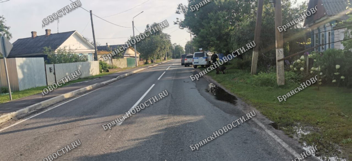Новозыбков фото. Новозыбков замишево. Новозыбков замишево. Новозыбков замишево. Деревня замишево.