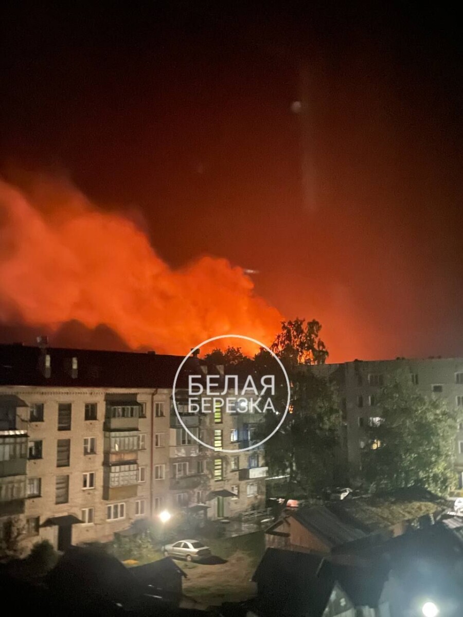 Из-за удара молнии в поселке Белая Березка Брянской области возник пожар