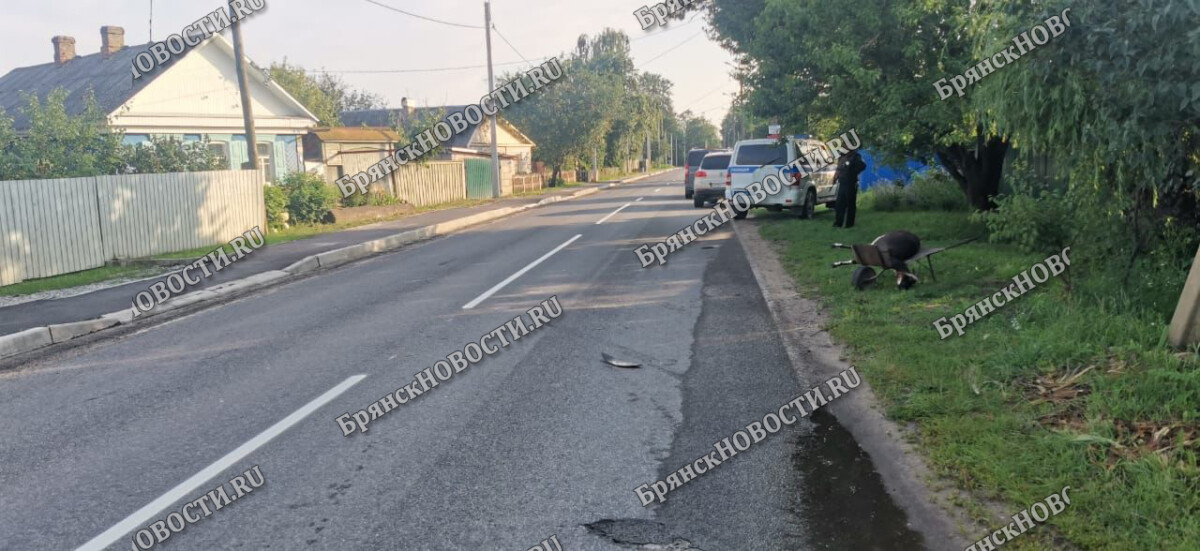 В селе Замишево под Новозыбковом Брянской области под колесами автомобиля погибла коза