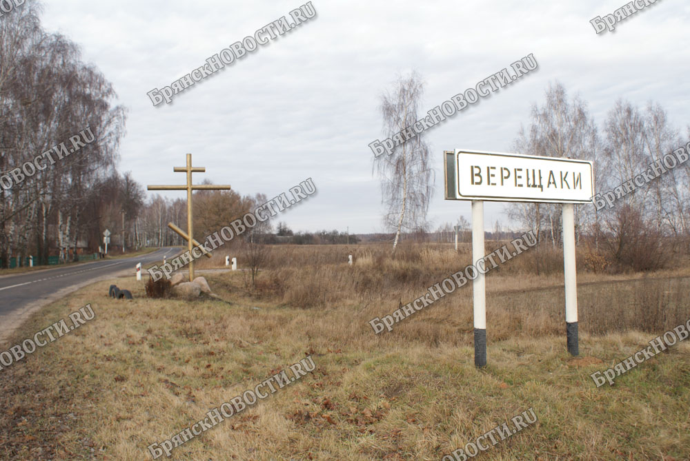В селе Новозыбковского района местный разгуляй не дает спать соседям