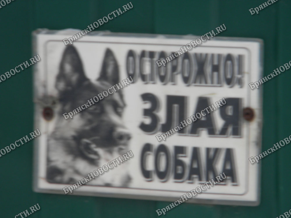 Собака укусила за лицо 19-летнюю жительницу Новозыбкова