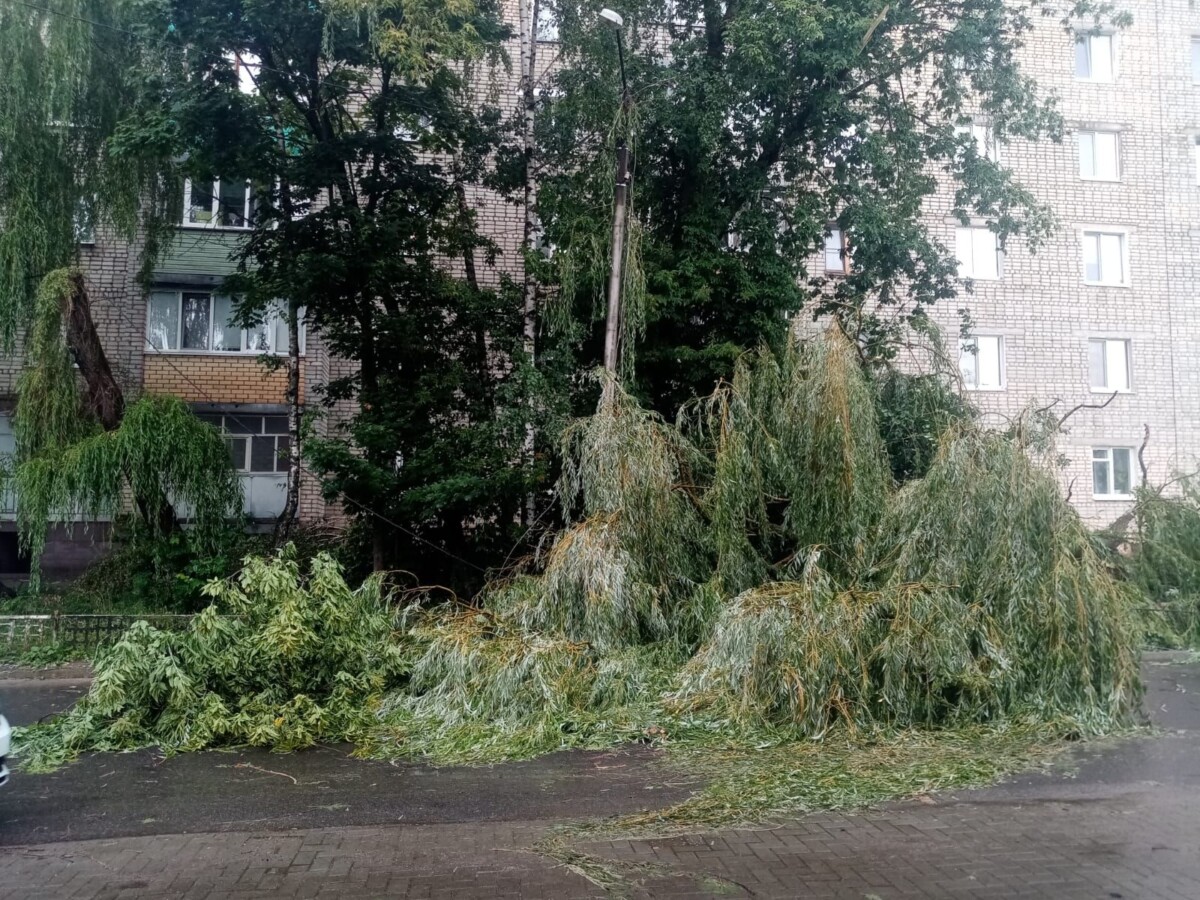 Главное управление МЧС России по Брянской области информирует об ухудшении погодных условий