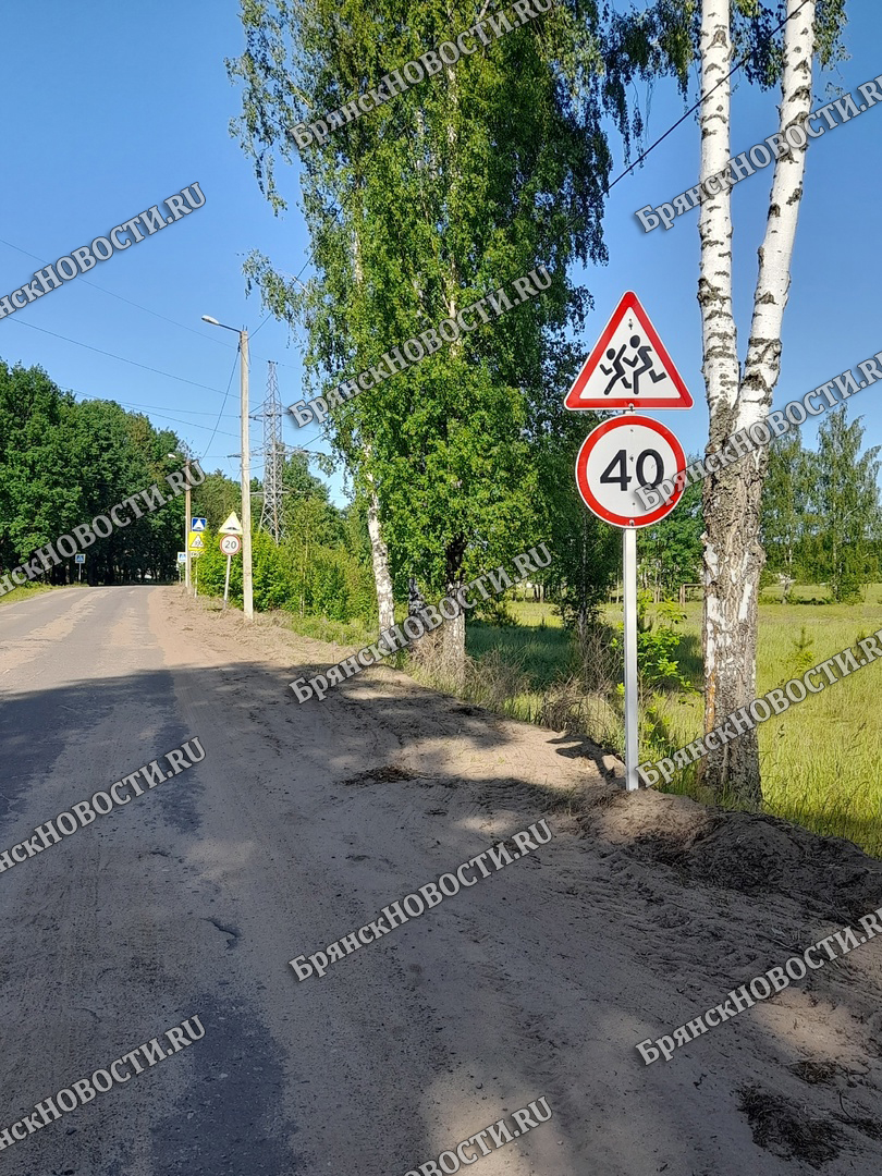 К середине лета в Брянской области обобщают данные по дорожному ремонту