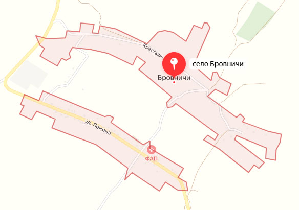 Маленькое приграничное село в Климовском районе Брянской области обстреляли ВСУ