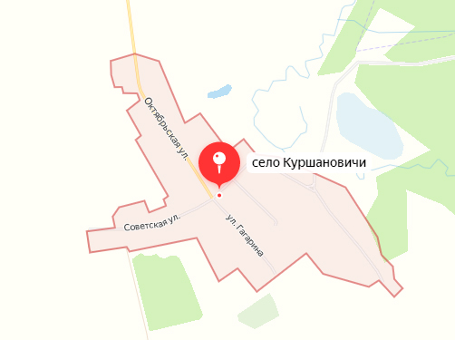 Село Куршановичи в Брянской области обстреляли из минометов