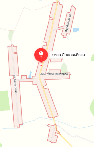ВСУ выпустили минометные снаряды по селу Соловьевка в Брянской области