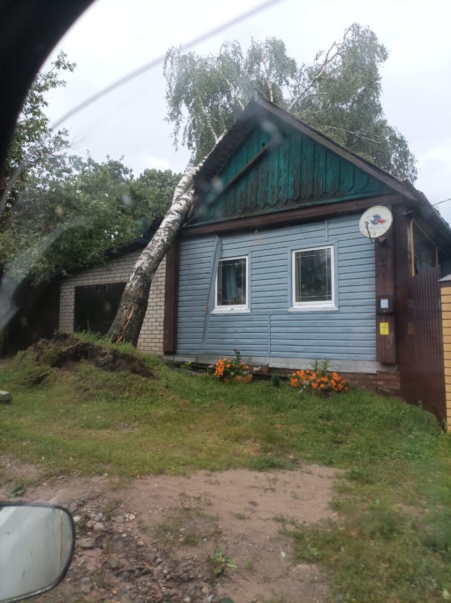 В Клинцовском районе шквалистый ветер повалил деревья и перекрыл дороги