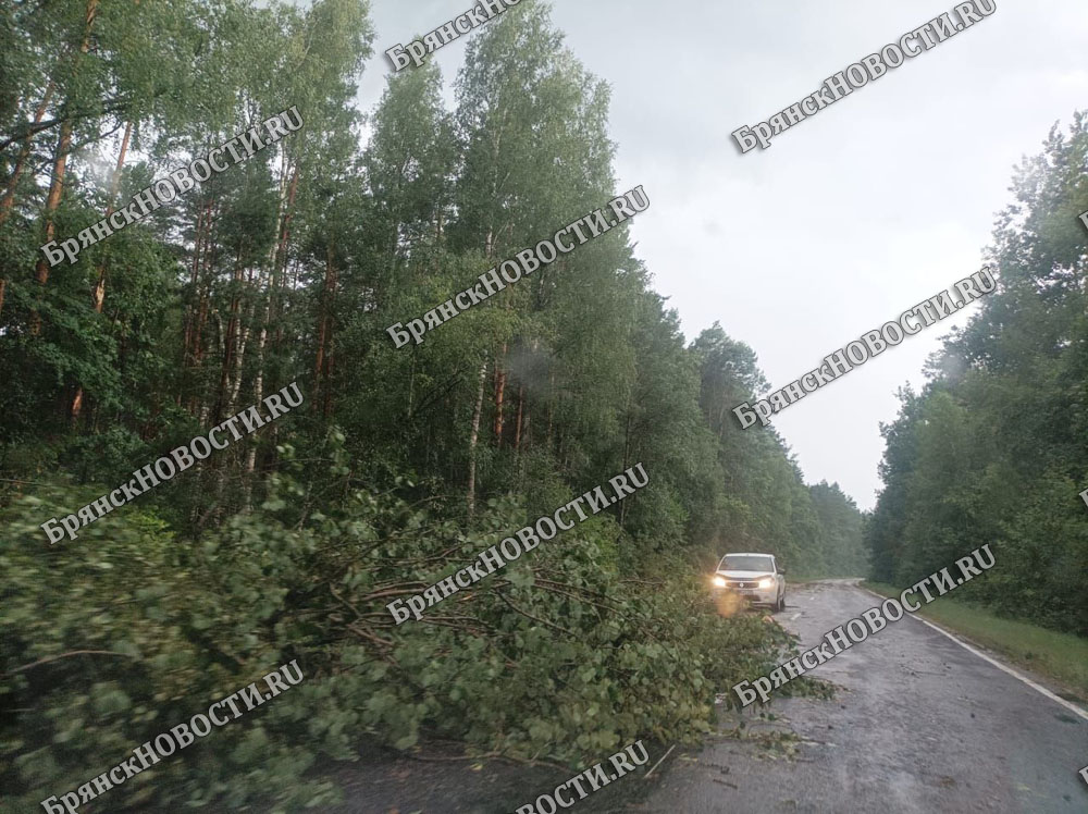 В Новозыбковском округе продолжаются восстановительные работы после непогоды
