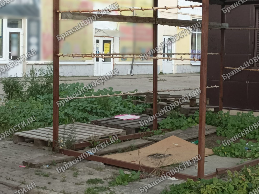 В центре Новозыбкова без декораций можно снимать кино о запустении