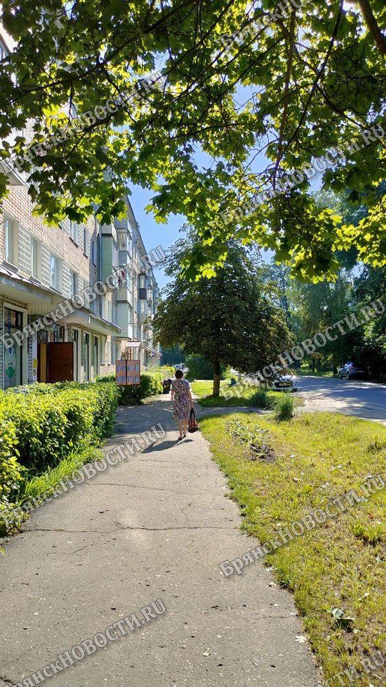Жительница Новозыбкова потеряет квартиру из-за долга банку