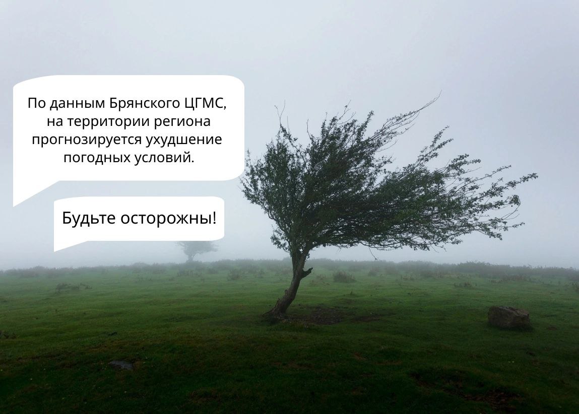 Ветер усилится до штормового в Брянской области