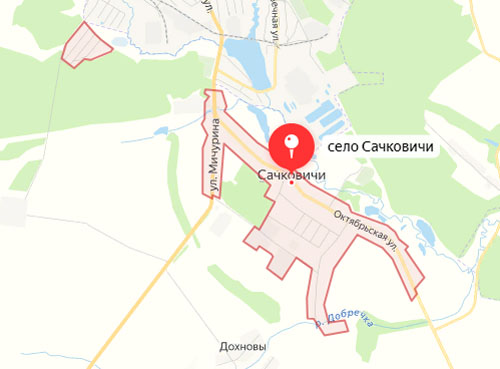 В селе Сачковичи Климовского района введен карантин по бешенству