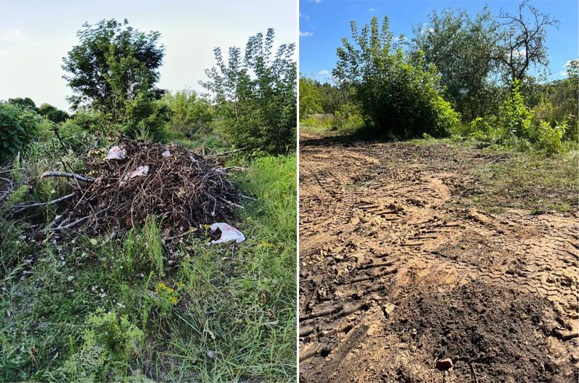 Заваленный мусором яблоневый сад в Новозыбкове очистили