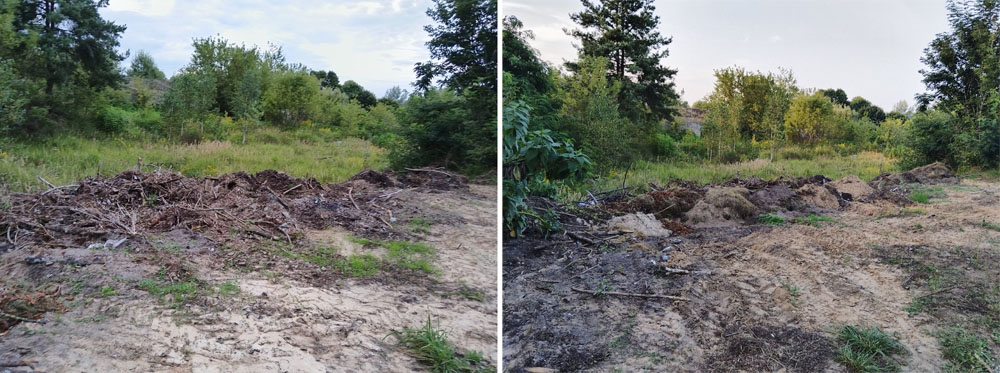 Власти Новозыбкова упорно не называют того, кто свозит мусор в яблоневый сад за сельхозтехникумом