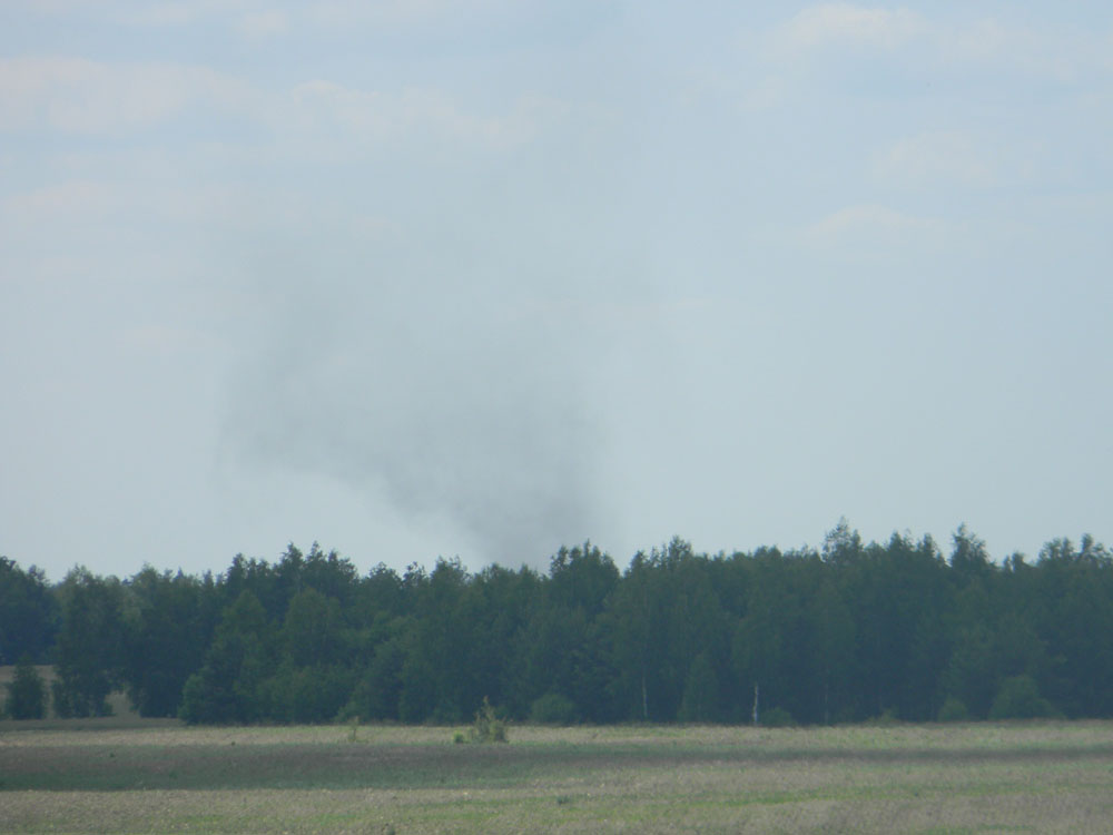В Новозыбковском районе горел сухостой