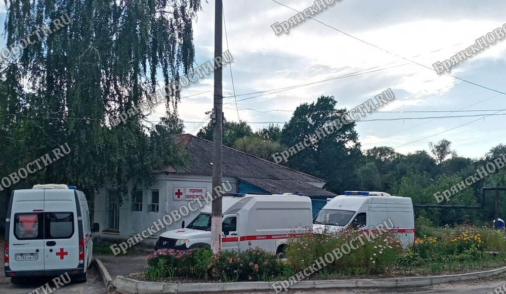 Выходные дни для троих жителей Новозыбковского округа закончились травмами