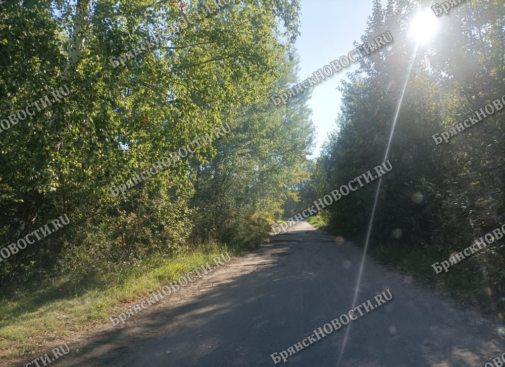 На основном фото вы видите не проселочную дорогу, а улицу в третьем городе Брянской области