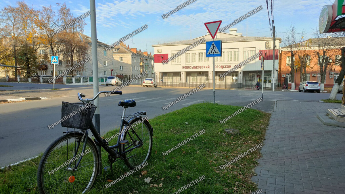 Полицейские Новозыбкова смогли найти украденный велосипед