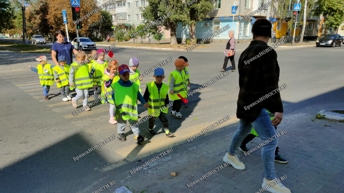 Малыши детсада в Новозыбкове осваивают основы безопасности на дорогах