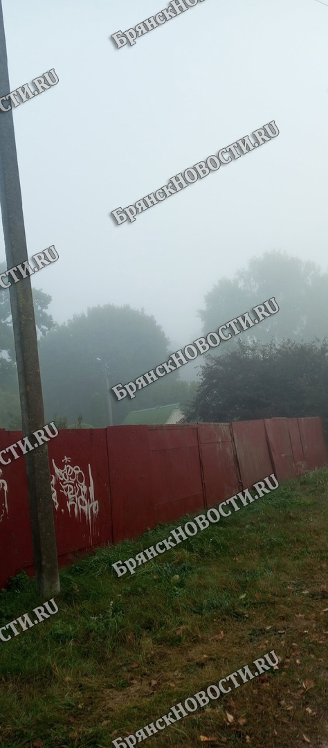 Житель Новозыбковского района оштрафован за хранение патронов в огороде