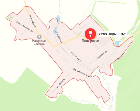 Украинская ДРГ попыталась прорваться на территорию России в районе села Подывотье Брянской области