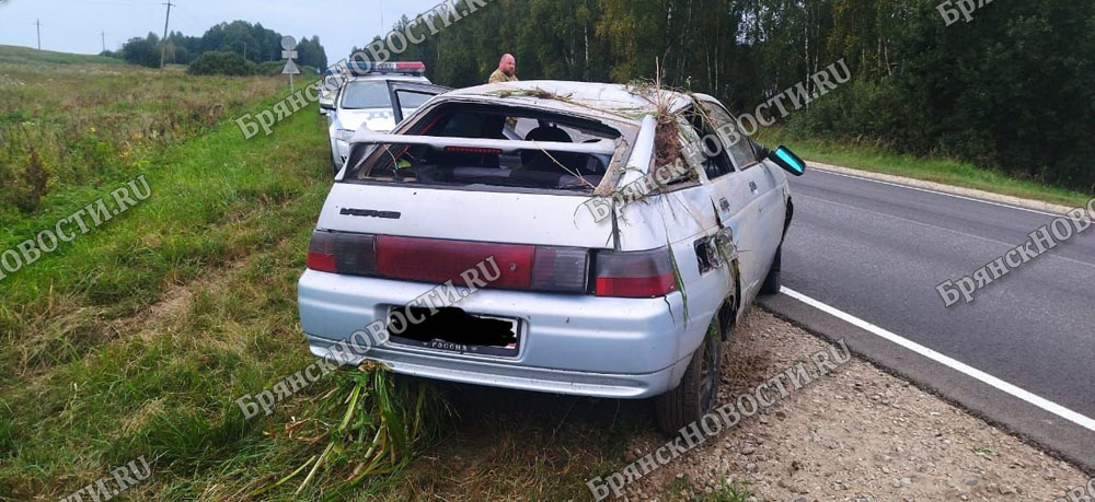 Водитель смог выжить в дорожной аварии между Климово и Новозыбковом