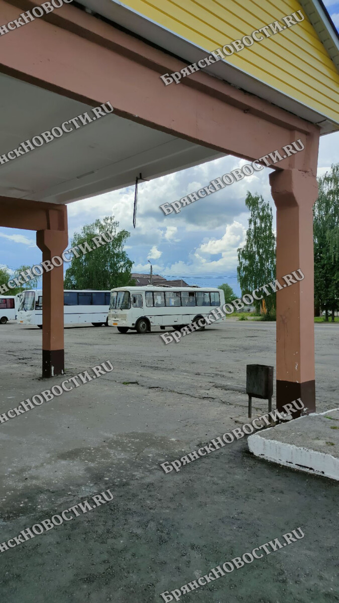 В Новозыбковском округе проезд не подорожает