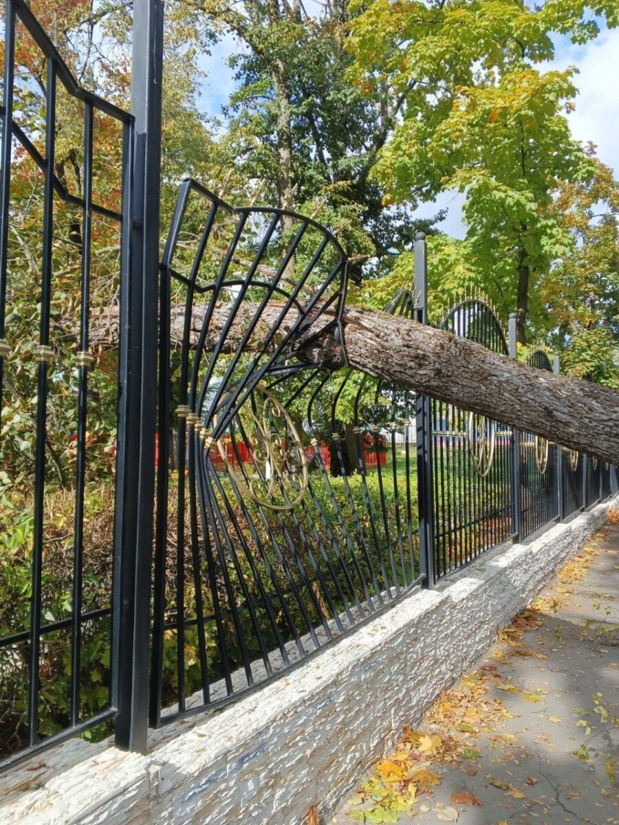 В Новозыбкове упавшее дерево повредило новую ограду горпарка