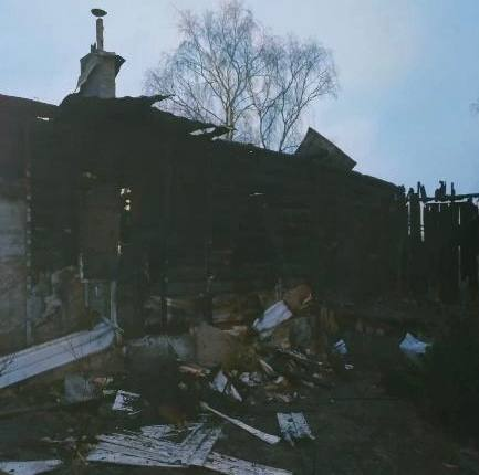 В Брянской области при пожаре погибли мать и сын