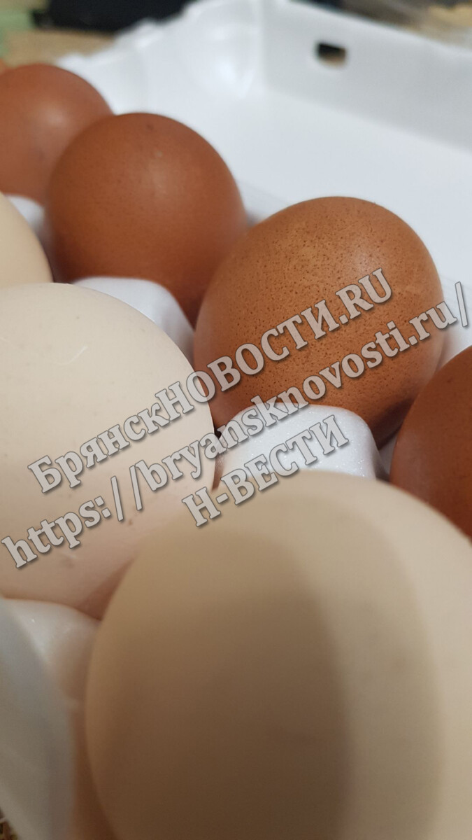 В перечень причин взлёта цен на яйца включили уход с рынка брянской птицефабрики