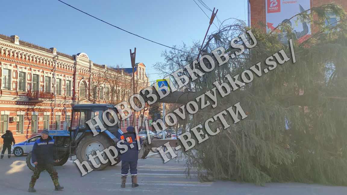 В Новозыбкове нашлись две претендентки на главную новогоднюю ель