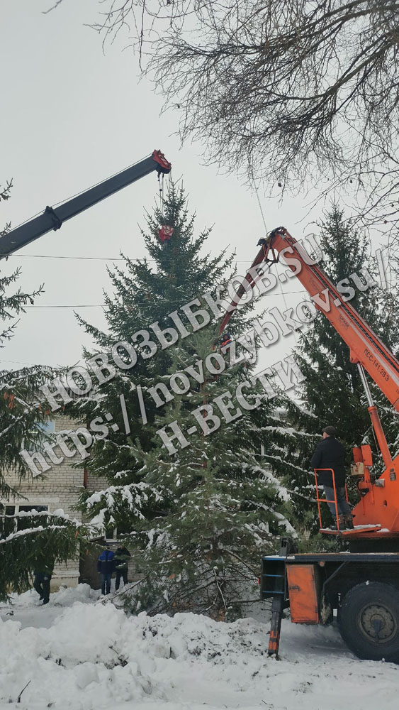 В Новозыбкове сегодня установят главную новогоднюю ель