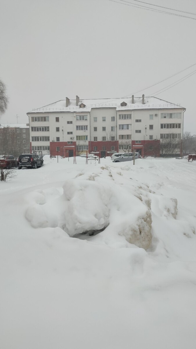 Из-за ухудшения погоды школы рекомендовано перевести на дистанционку в Брянской области