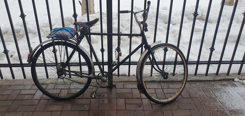 В Новозыбкове на глазах у хозяина попытались украсть велосипед