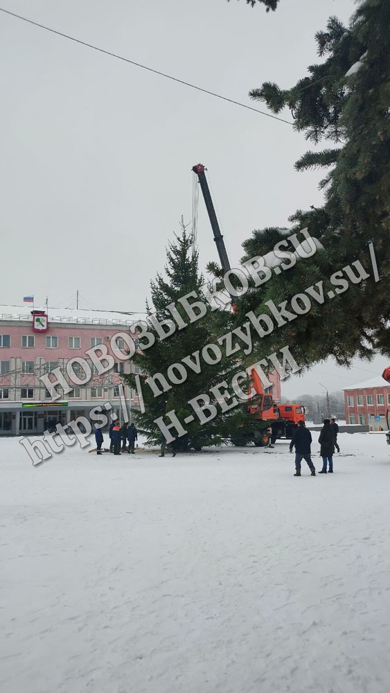 В установке новогодней ели в центре Новозыбкова помогала погода