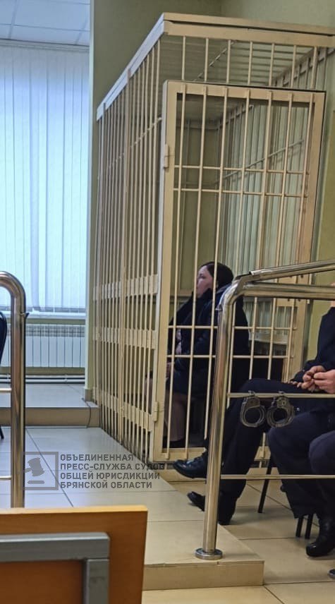 Жительница Новозыбкова осуждена за убийство сожителя и отца ее ребенка
