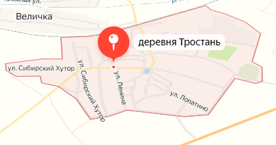 Новозыбков тростань. Тростань брянская область. Центр площадь города новозыбков. Тростань хотур сибирский дома. Новозыбков тростань.