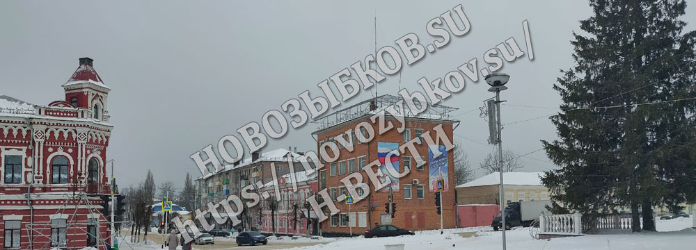 Полиция в Новозыбкове задержала грабителя