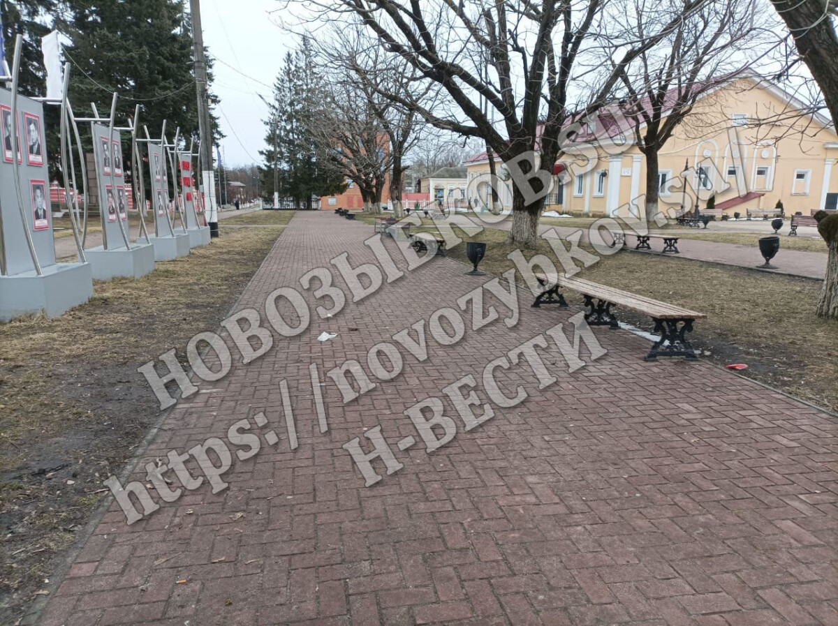 В самом центре Новозыбкова на женщину набросилась собака