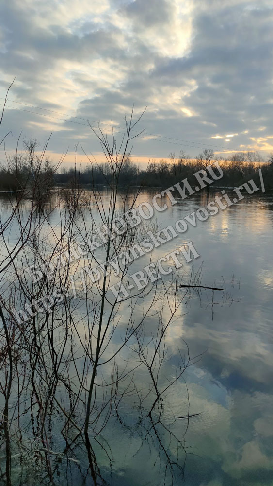 На территории Брянской области протекает свыше 120 рек