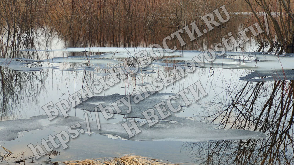 В шести местах реки освободились ото льда в Брянской области