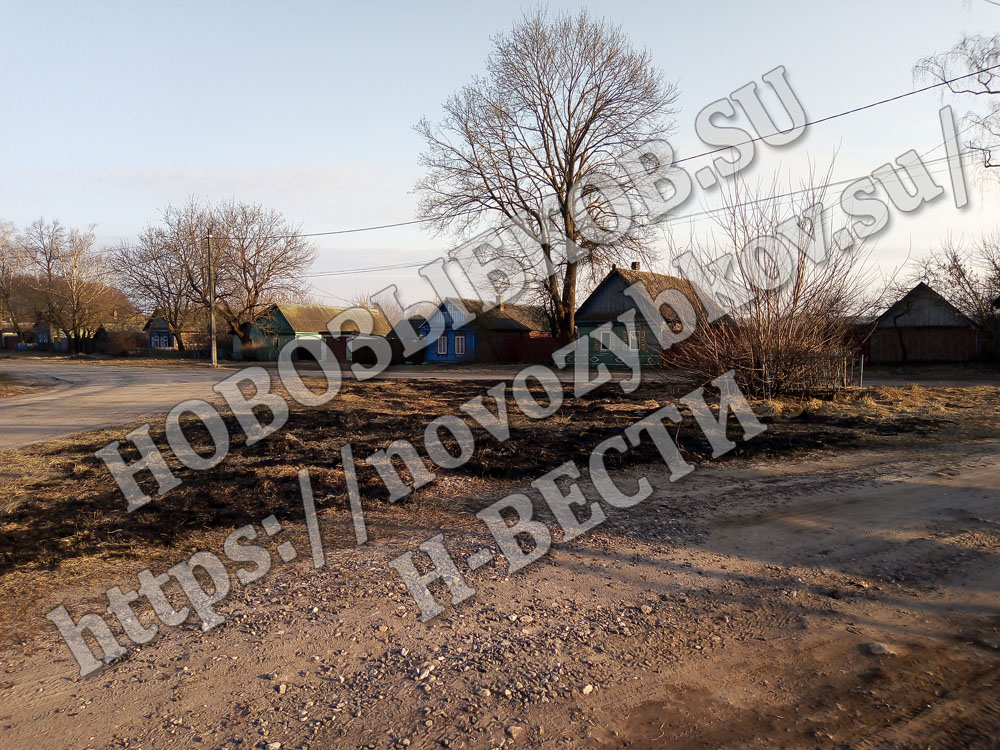 В Новозыбковском округе продолжают гореть поля