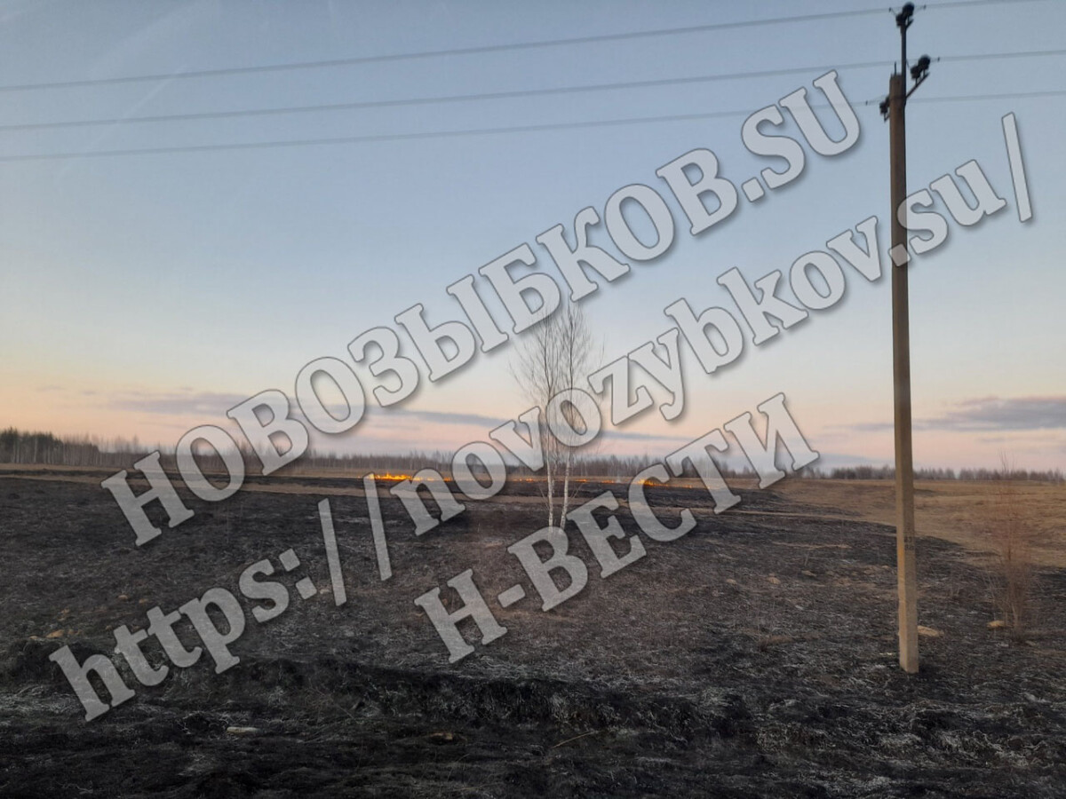 Расчеты ПЧ16 и добровольные пожарные бригады продолжают спасать население Новозыбковского округа от дыма и огня