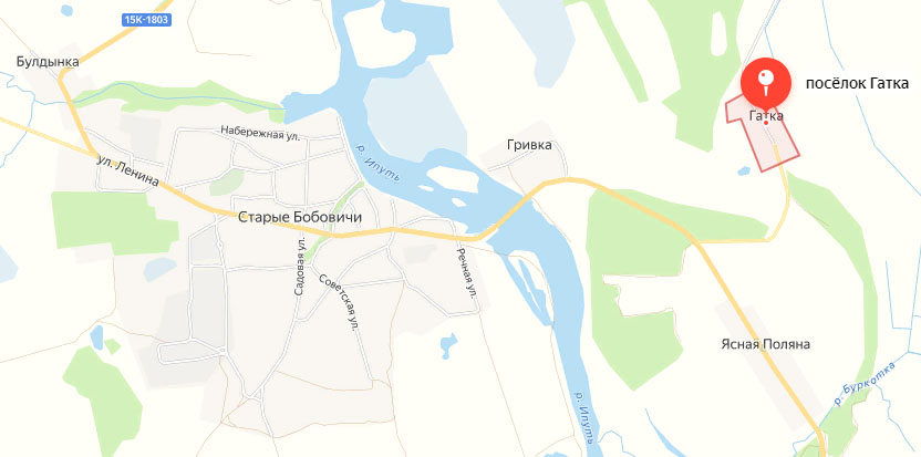 В Новозыбковском районе водитель предъявил автоинспекторам купленные права
