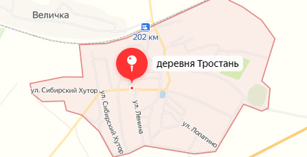 В Новозыбкове вынесен приговор бывшему главе сельского поселения за взятку
